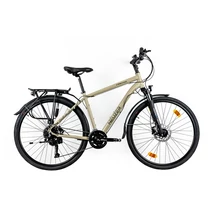 Neuzer Firenze 400 férfi sárgásszürke /fekete matt 19